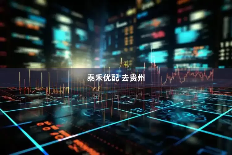 泰禾优配 去贵州
