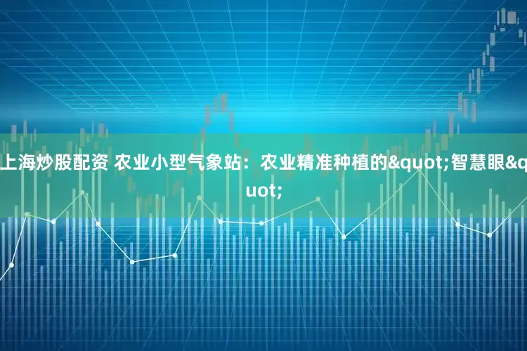 上海炒股配资 农业小型气象站：农业精准种植的"智慧眼"