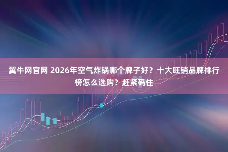 翼牛网官网 2026年空气炸锅哪个牌子好？十大旺销品牌排行榜怎么选购？赶紧码住